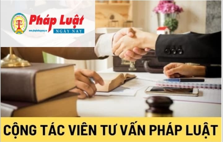 Tiêu chuẩn để trở thành Cộng tác viên tư vấn pháp luật