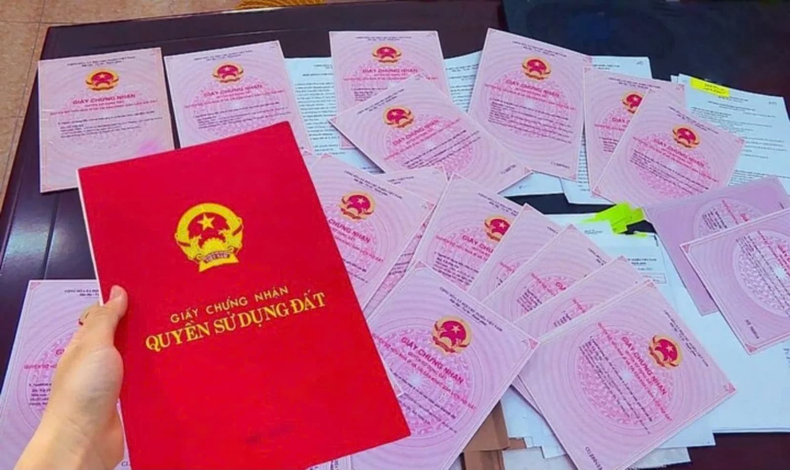 Luật sư trả lời tranh chấp đất đai giữa ông Hoàng Văn N và ông Nguyễn Văn Mùi