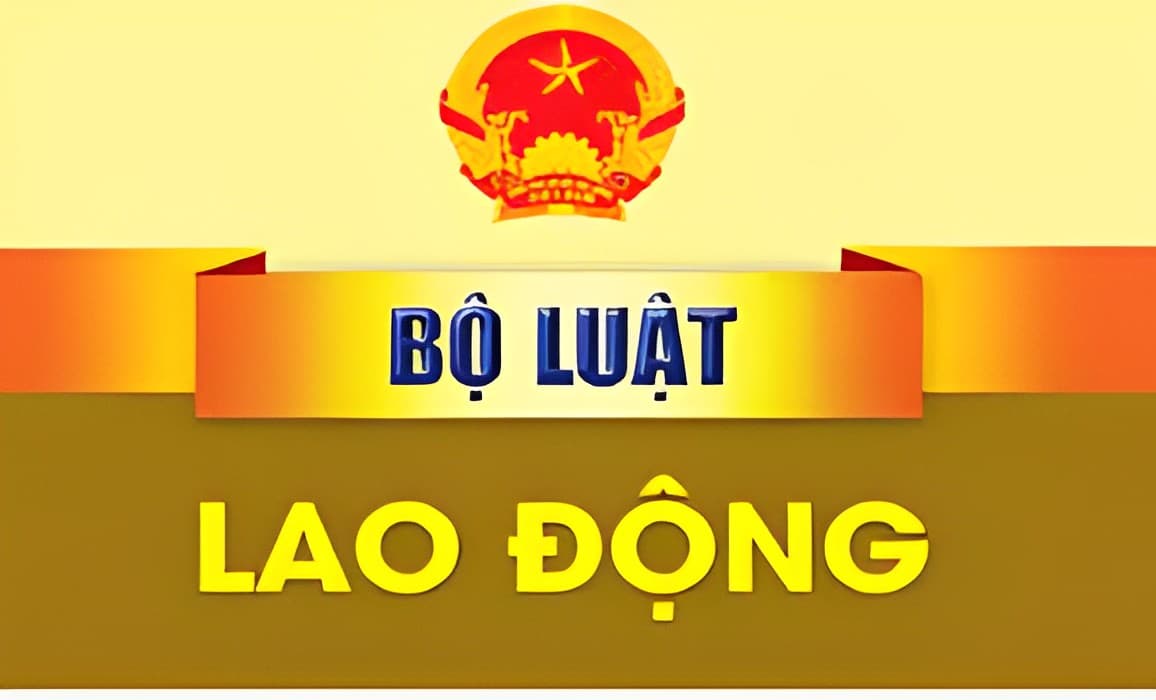 Bộ luật lao động 2019 số 45/2019/QH14 áp dụng 2024 mới nhất